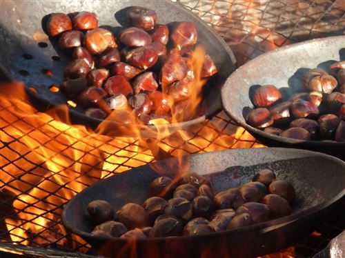 Festa d'autunno: castagnata e merenda nel bosco - facilebimbi